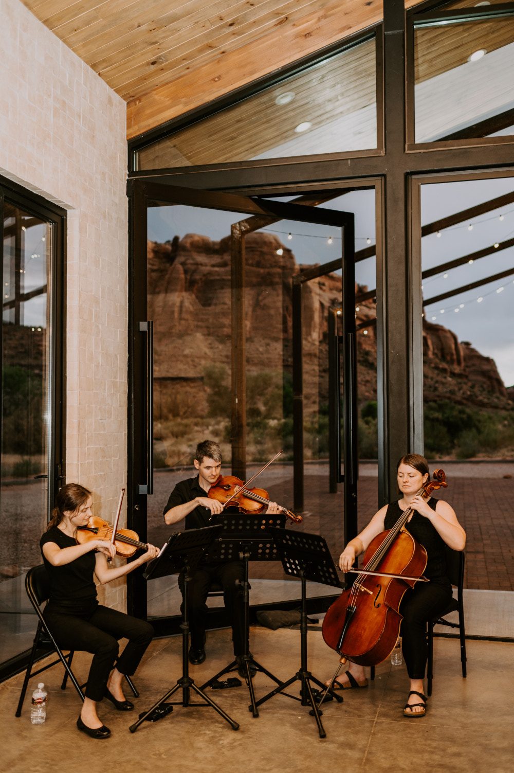 Black & White String Quartet Utah